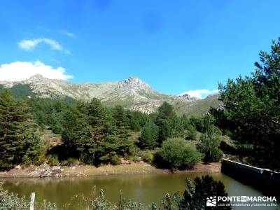 JUEVES Senderista - Cuerda de las Cabrillas y Valle de la Barranca;rutas por sierra de madrid rutas 